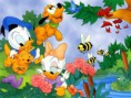 /album/fotogalerij/baby-donald-and-baby-daisy-wallpaper-donald-duck-6040435-1024-768-jpg/